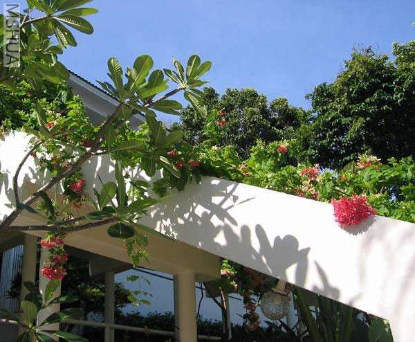 �����ռ���������ʹ���ӿ���ʢ��