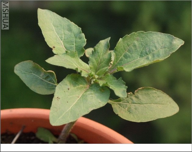 ������С ���48.jpg