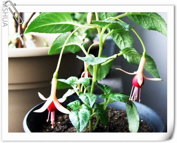 ������С ���ҽ���10.jpg