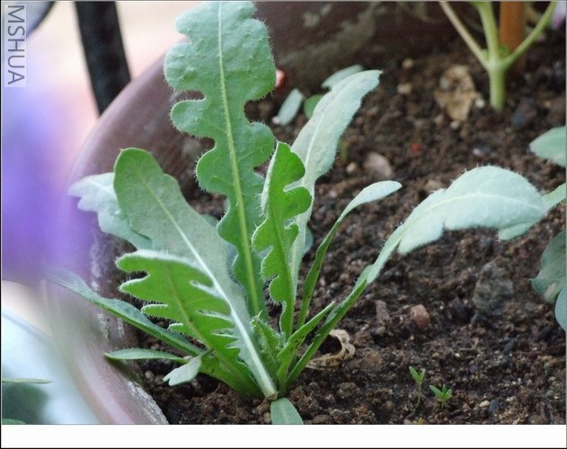 ������С ������33.jpg