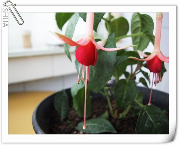 ������С ���ҽ���14.jpg