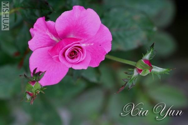 IMG_0020 ����a.jpg