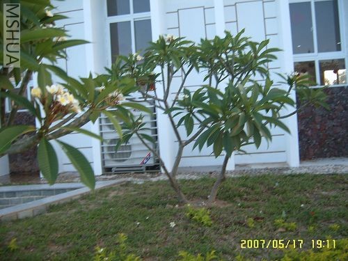 �����ļ�������