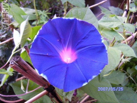 PICT0699.jpg