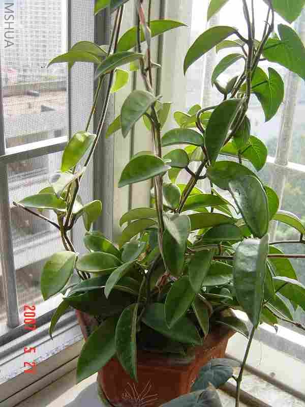 ��ת DSC07536.JPG