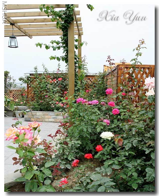 IMG_0391 ����a.jpg