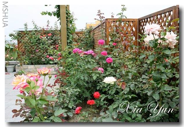 IMG_0389 ����a.jpg