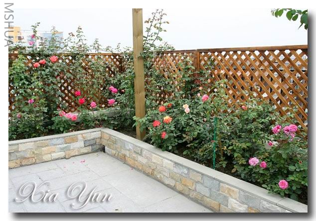 IMG_0393 ����a.jpg