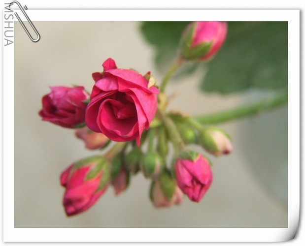 ������С D157.JPG