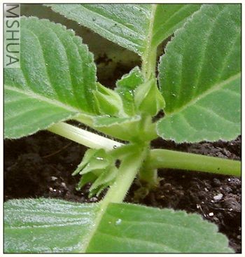 �ҵ���Ͳ�л����ˣ��ٺ٣�