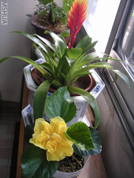 ������С ��ɣ��705251.jpg