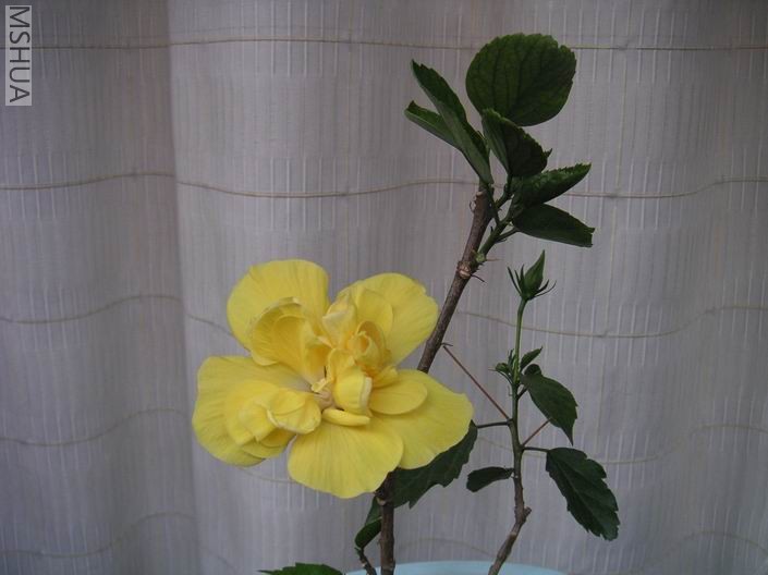 ������С PICT0007.JPG