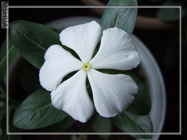 ������С DSCF0011.JPG