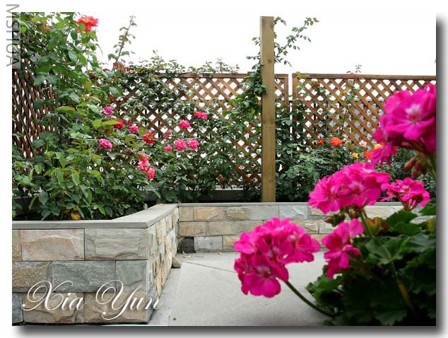 IMG_0398 ����.jpg