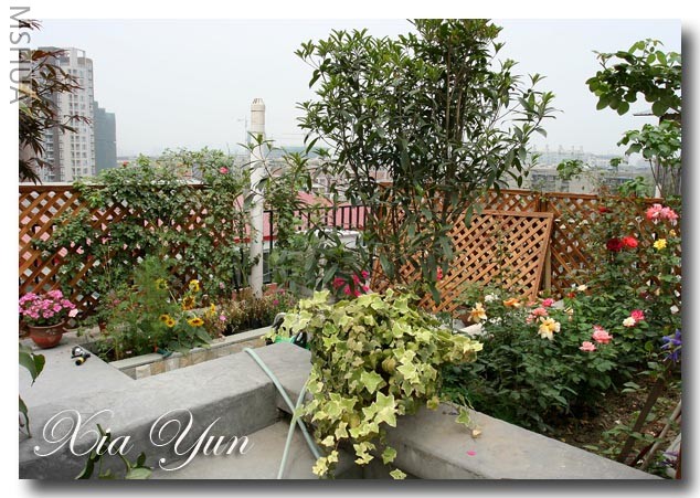 IMG_0395 ����.jpg