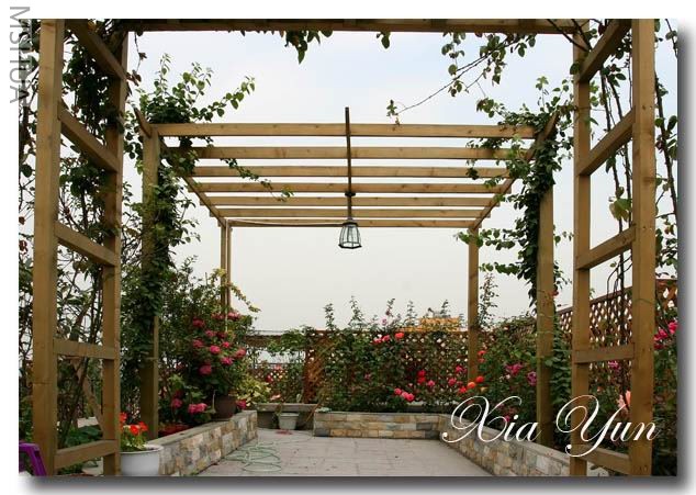 IMG_0385 ����a.jpg