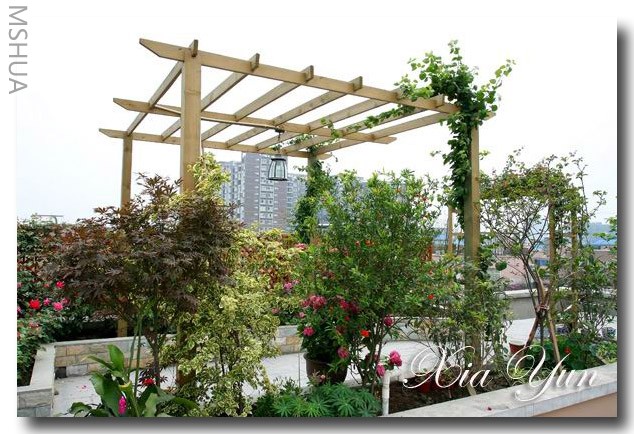 IMG_0400 ����.jpg