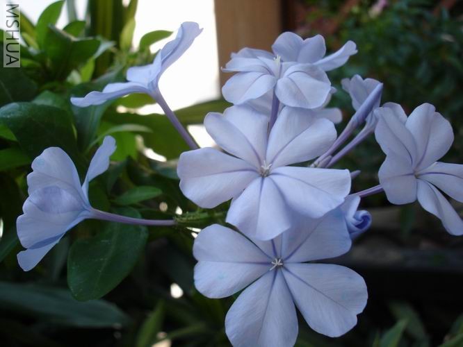 ������С DSC04373.JPG