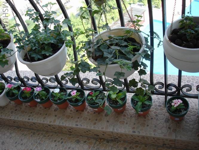 ������С DSC04406.JPG