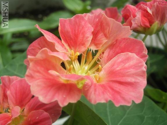 ������С RIMG0008.JPG