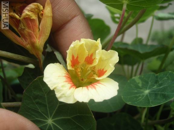 ������С RIMG0012.JPG