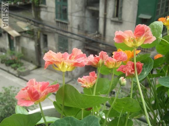 ������С RIMG0013.JPG