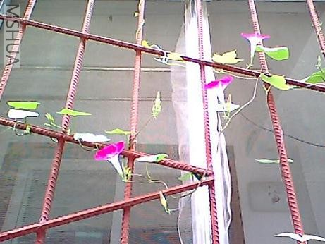 ǣţ��2.jpg