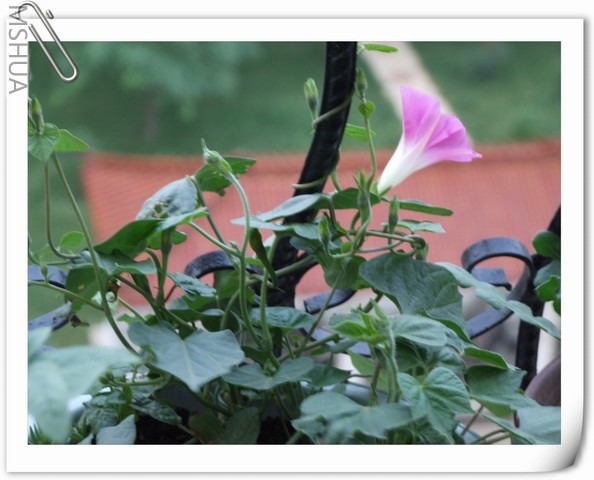 ������С DSCF0000.jpg