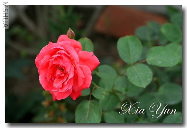 IMG_6479 ��������.jpg