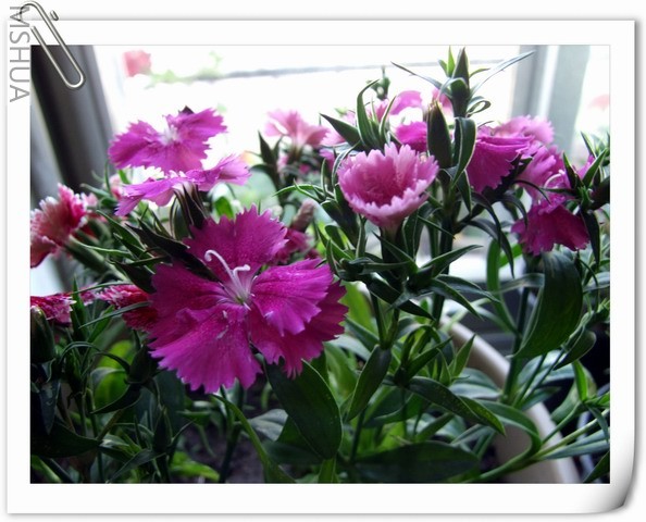 ������С ʯ��26.jpg