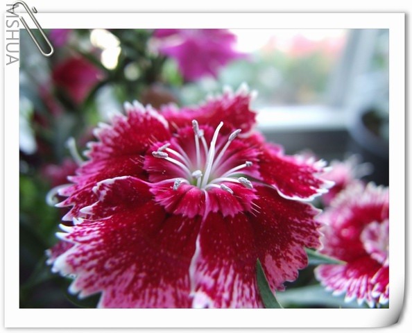 ������С ʯ��ױ�23.jpg