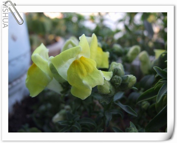 ������С �����2.jpg