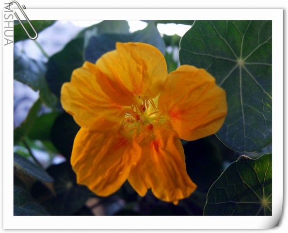 ������С ������2.jpg