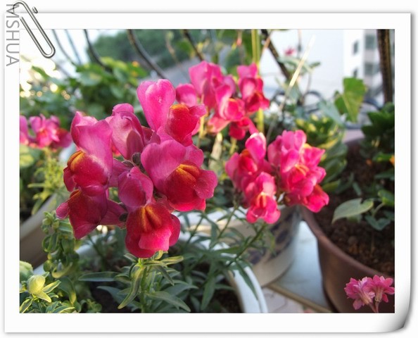 ������С �����1.jpg