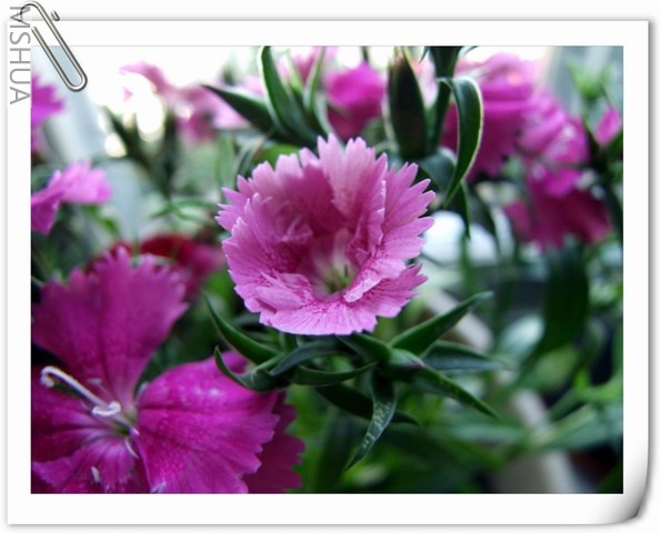 ������С ʯ��30.jpg