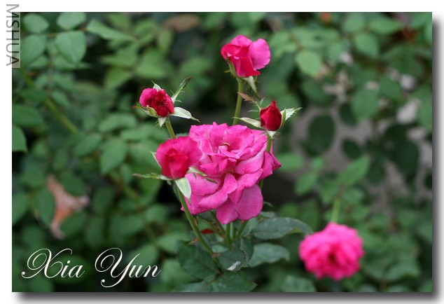 IMG_6493 ��������.jpg