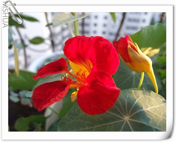 ������С ������1.jpg