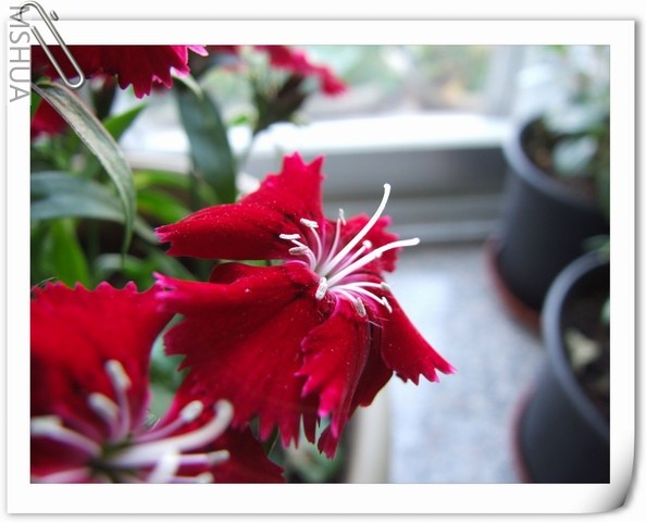 ������С ʯ���4.jpg