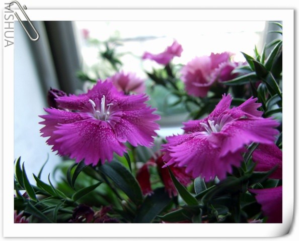 ������С ʯ��28.jpg