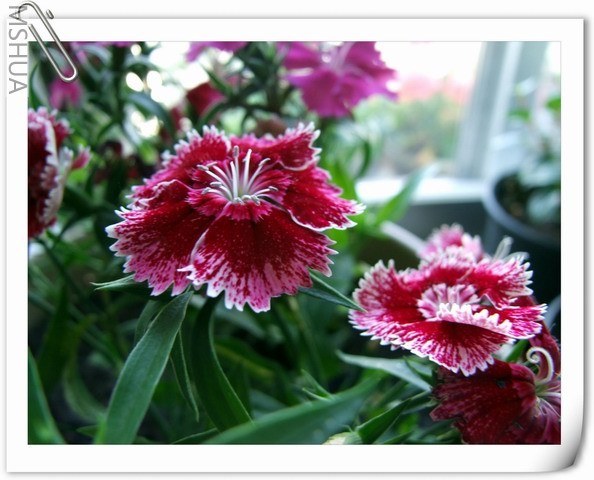 ������С ʯ��ױ�24.jpg