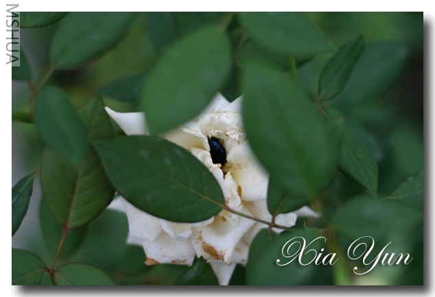 IMG_7118 ��������.jpg