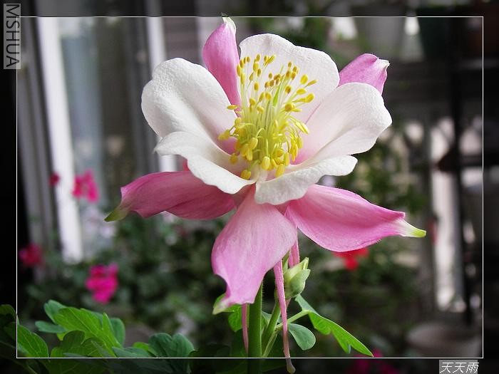 �����ŵ�©��