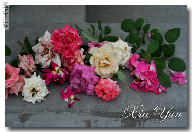 IMG_7122 ��������.jpg