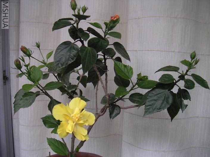 ������С PICT0001.JPG