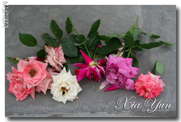 IMG_7120 ��������.jpg