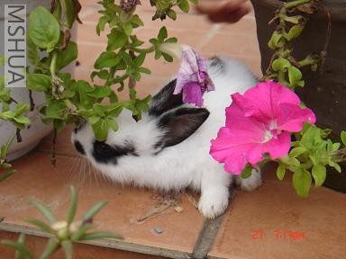 DSC00484.JPG