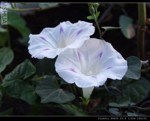 ������С milkway1a.jpg