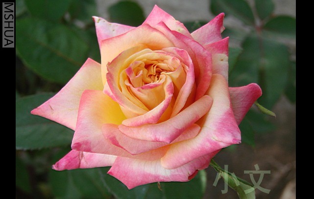 �½� BMP ͼ��.JPG