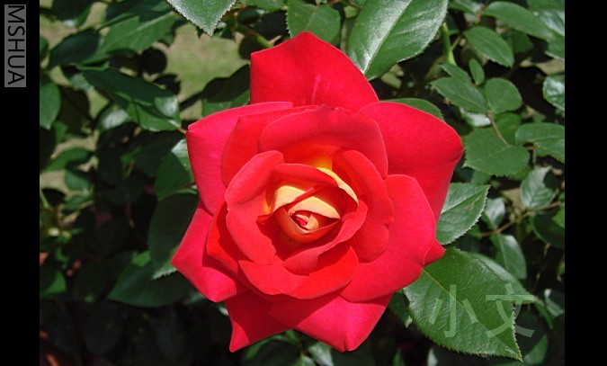 �½� BMP ͼ��.JPG