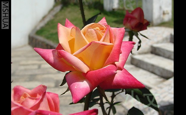 �½� BMP ͼ��.JPG